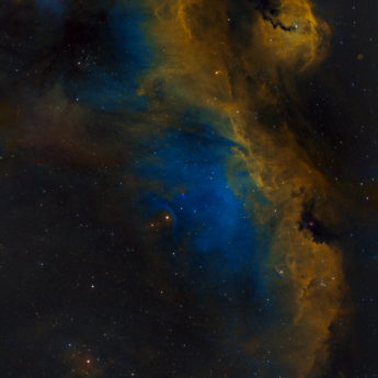 Ic2177 (SHO)
