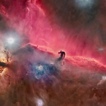 The HorseHead Nebula Starless
