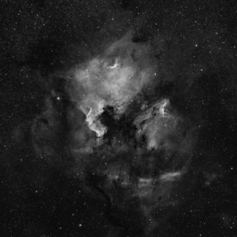Widefield North American Nebula