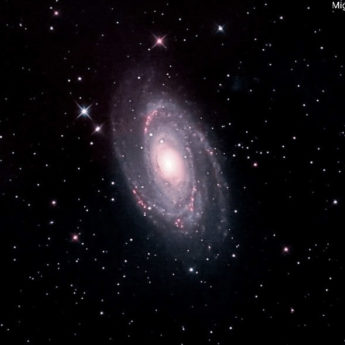 M 81