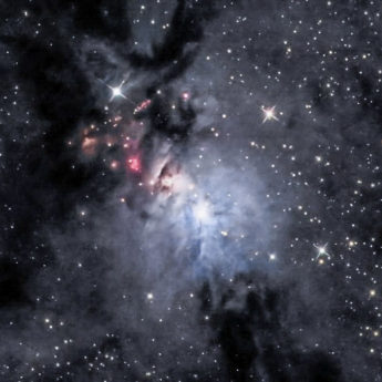 NGC 1333