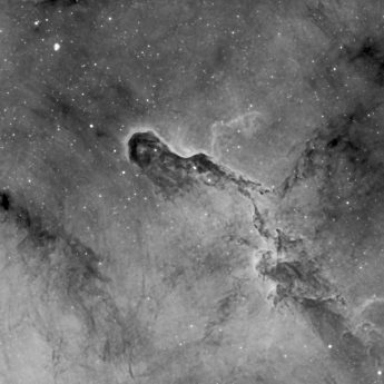 IC1396 Elephants Trunk HA