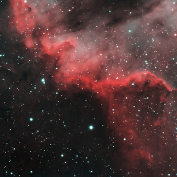 Cygnus Wall (California Nebula)