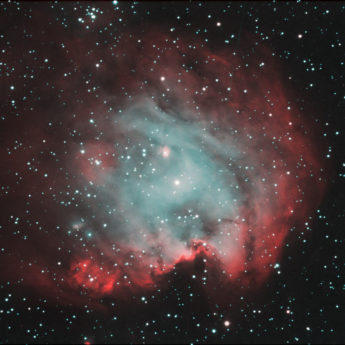 Monkey Head Nebula (NGC 2174)