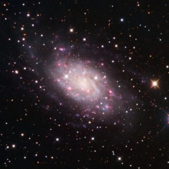 NGC 2403