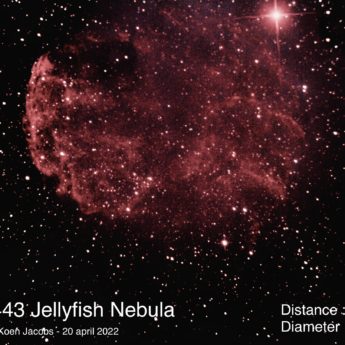IC443