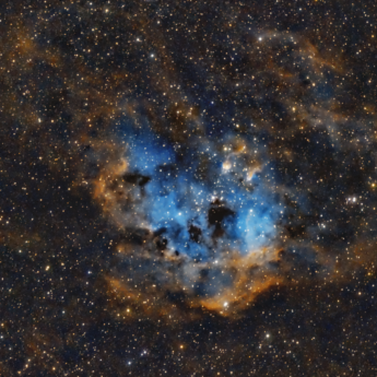 Tadpole Nebula