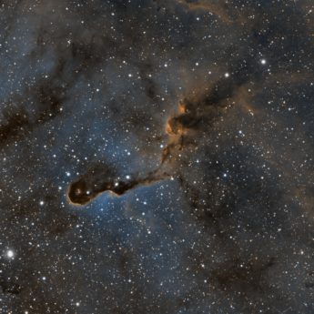 IC1396 -