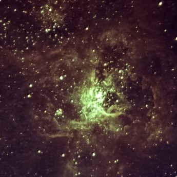 Tarantula Nebula NGC 2070