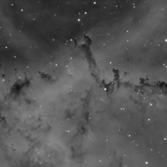 NGC2237 detail, dust and H-alpha