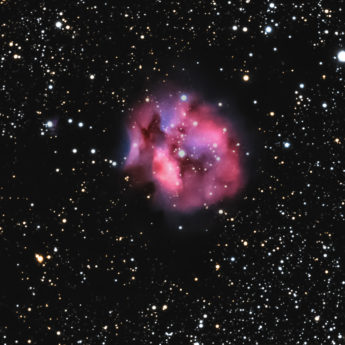Cocoon Nebula