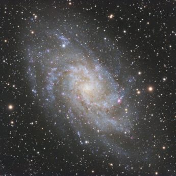 M33