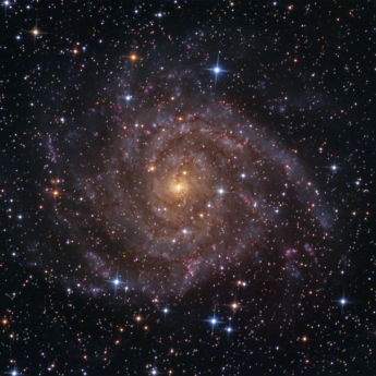 IC342