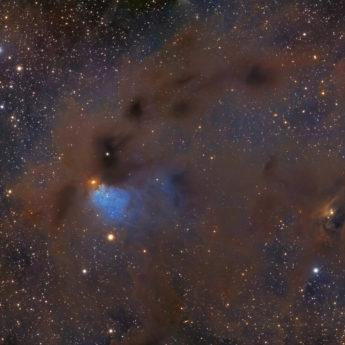 LBN 782