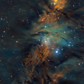 NGC2264