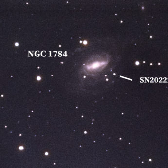 SN2022xkq in host galaxy NGC 1784