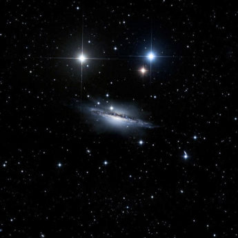 NGC 1055. Exhibition 250x50