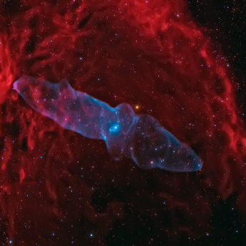 Ou4 & Sh2 129 : A Giant Squid Nebula And A Flying Bat