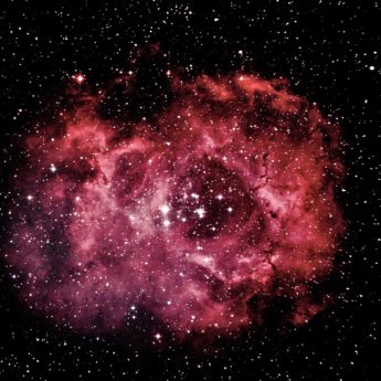 Rosette Nebula