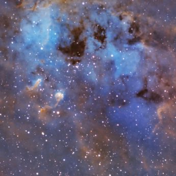 IC 410