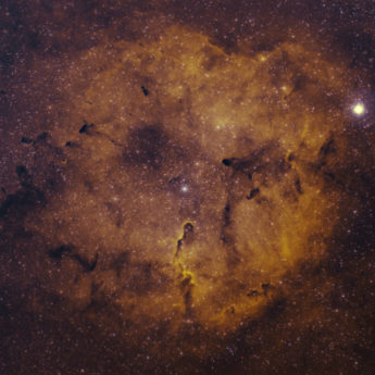 IC1396 Bicolor Ha Oiii