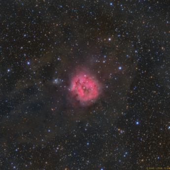 IC5146