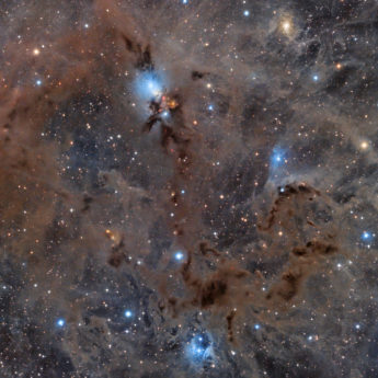 NGC1333