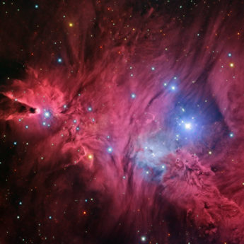 NGC2264