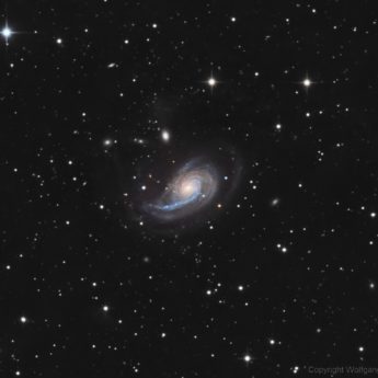 NGC 772