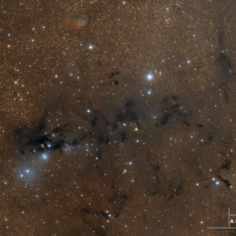 VdB123
