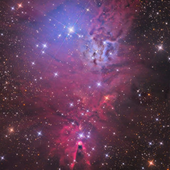 Christmas Tree cluster +