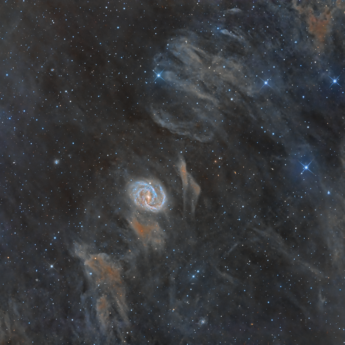 NGC 6951 IN DUST