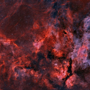 Central Cygnus Mosaic