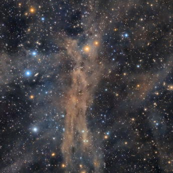 Mandel Wilson 2 - Angel Nebula